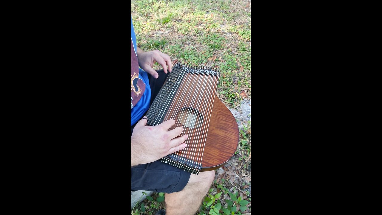 A Pirate's Life for Me on the Zither!