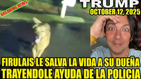 FIRULAIS LE SALVA LA VIDA A SU DUEÑA TRAYENDOLE AYUDA DE LA POLICIA