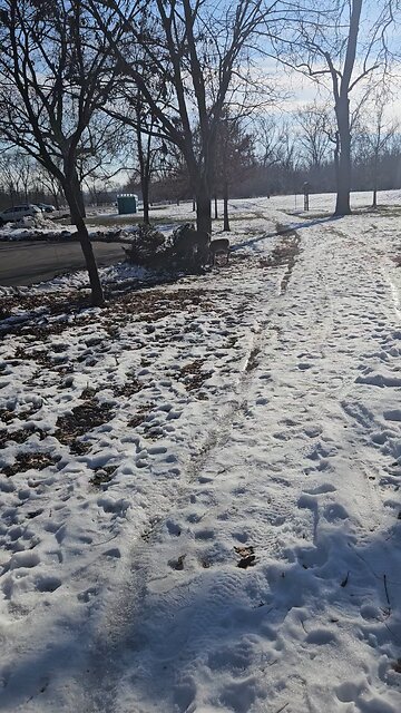 A Doe and her Fawn Eating Winter Cuisine