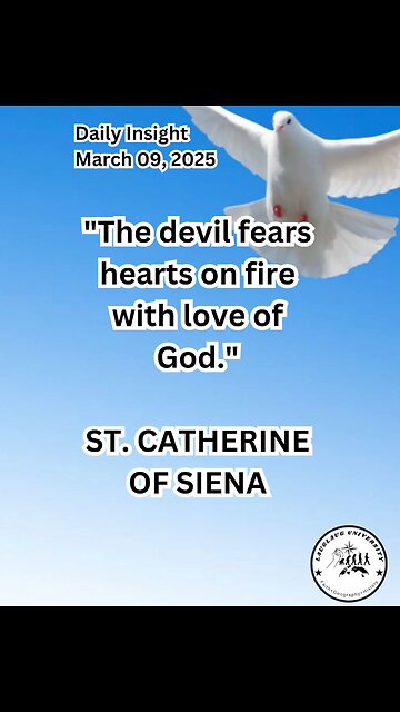 Daily Insight March 09, 2025