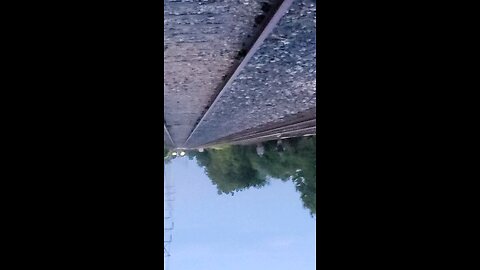 interesting interaction with strangers