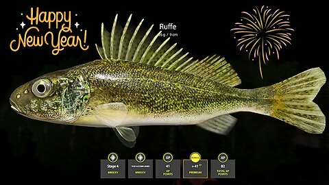 Stage 4 Completed MMXXV, New Year Challenge, Russian Fishing 4 PC game