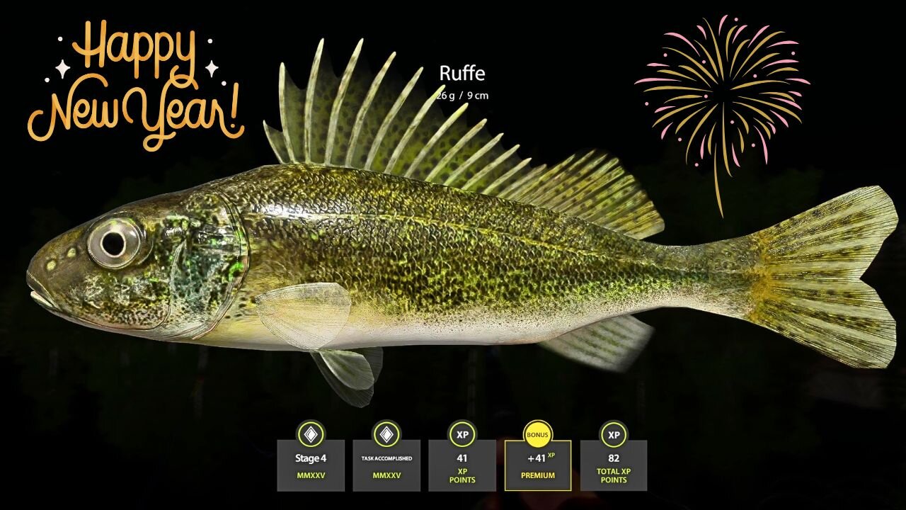 Stage 4 Completed MMXXV, New Year Challenge, Russian Fishing 4 PC game
