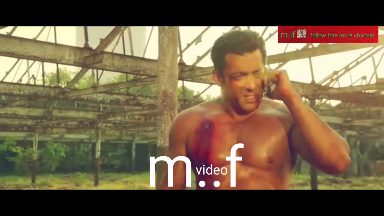 fight son of salmankhan movie