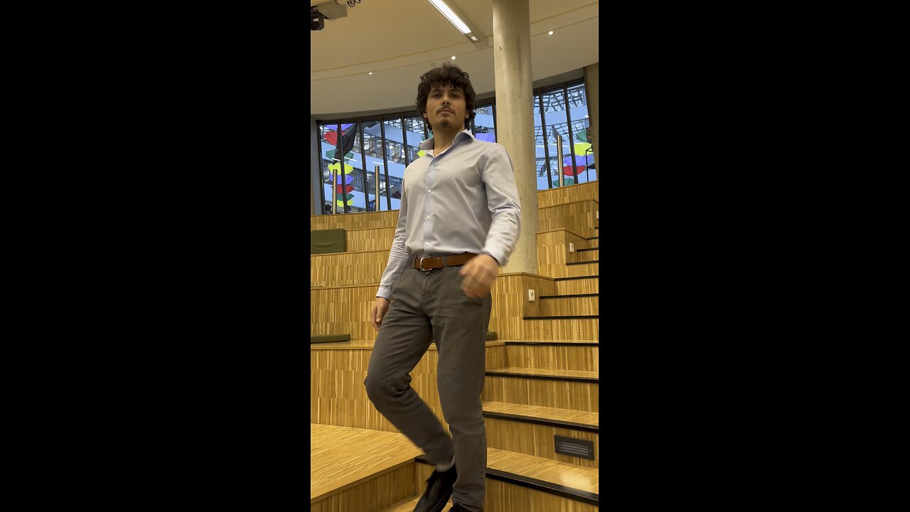 D66 de partij met de D van democratie