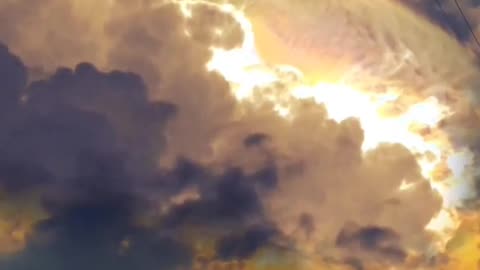 Peaceful Outdoor Views 🌳 Stunning Nature Scenes 🐦🌺 Amazing Nature Views 🍃 #Shorts