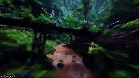 Your Daily Dose Of Internet