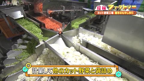探検ファクトリー カット野菜工場 シャキシャキ感と鮮度を保つ秘密 簡単レシピも