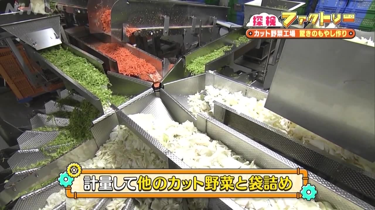 探検ファクトリー カット野菜工場 シャキシャキ感と鮮度を保つ秘密 簡単レシピも