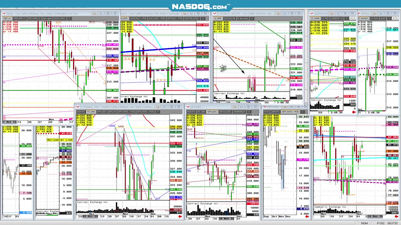 DEC4 Silver Cattle, Cold, SPUs Olive sell on open