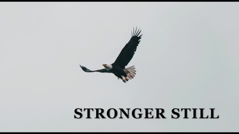 Pray USA, 2/19/25 Stronger Still