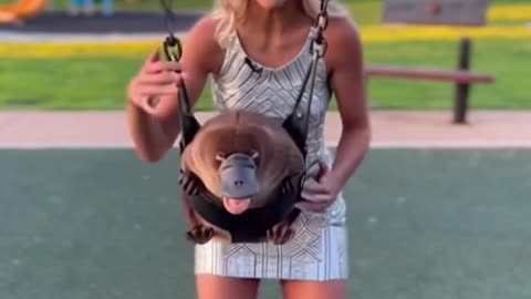 Platypus Summer Swing