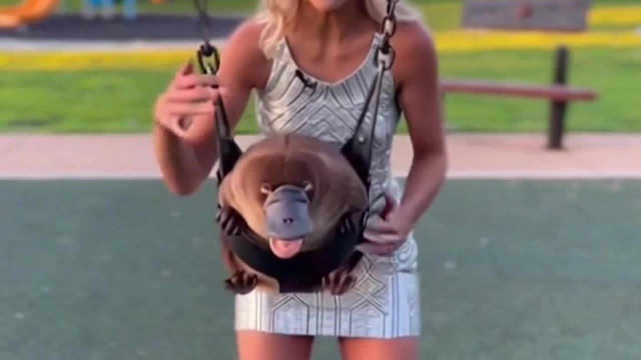 Platypus Summer Swing