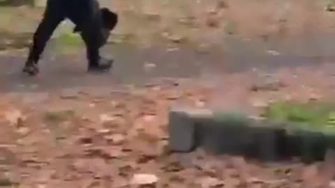 Africano mata uma mulher à facada no Porto. ACORDA PORTUGAL