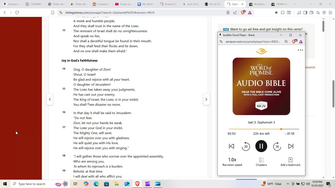 A Old Testament book 100% about Jesus Return