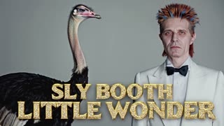 SLY BOOTH LITTLE WONDER