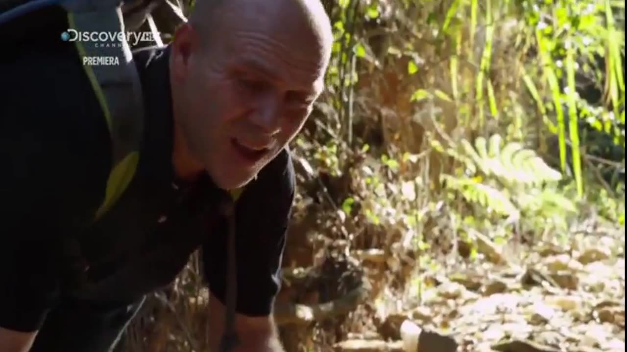 GRA O SKARB 1 dokument pl