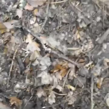 Three new candidates