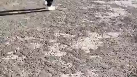 Migrant following a 12-year-old child...