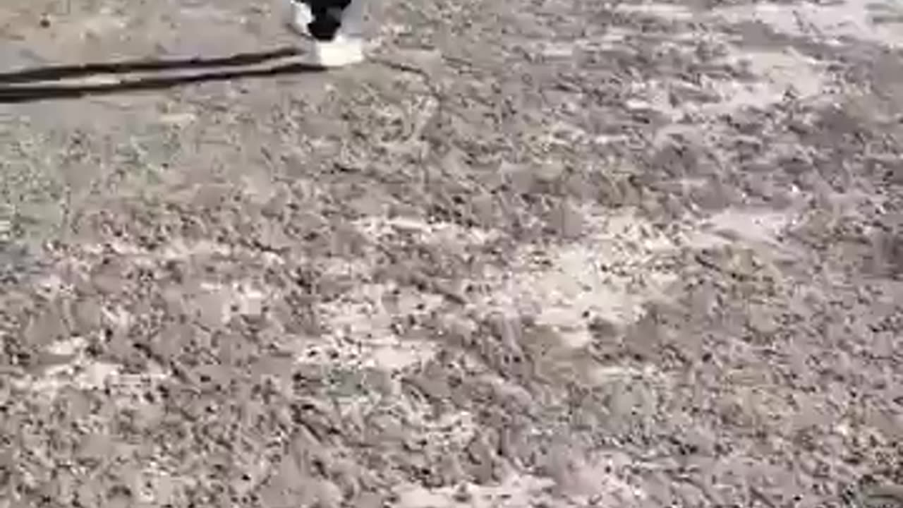 Migrant following a 12-year-old child...