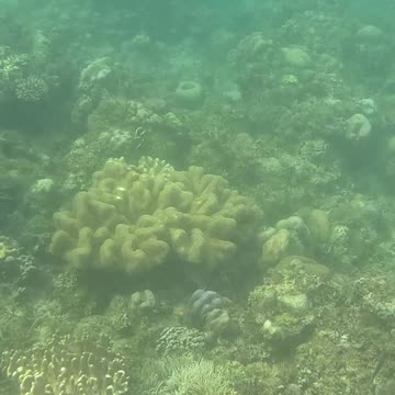 Snorkeling Morning!!