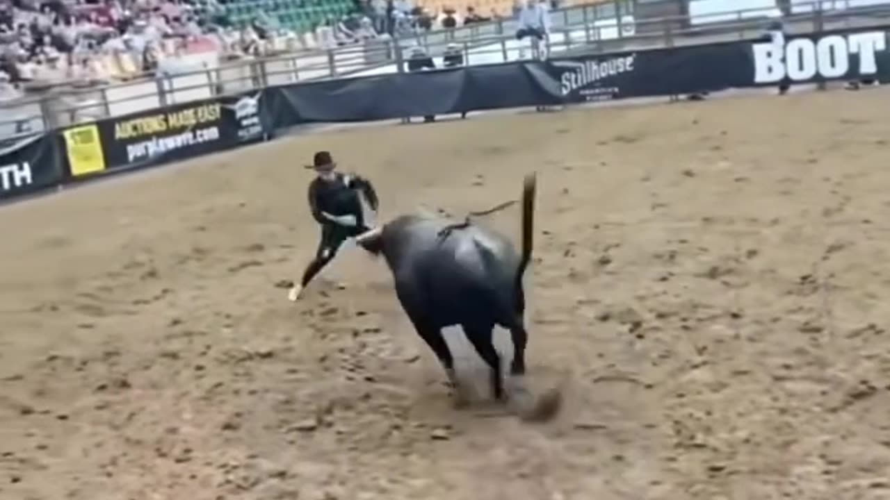 Look at the untouchable cow boy