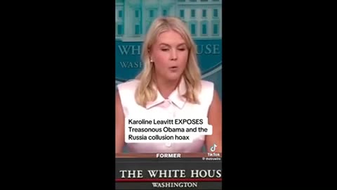 Leavitt on Obama - tic toc you pieces of Sh|t ..