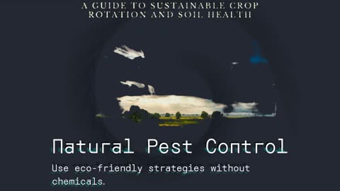 Regenerative Roots: A Guide to Sustainable Crop Rotation and Soil Health