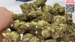 Premium Emerald Runtz from Hello Mary! Dankin with the Flamingos Review!!