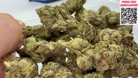 Premium Emerald Runtz from Hello Mary! Dankin with the Flamingos Review!!