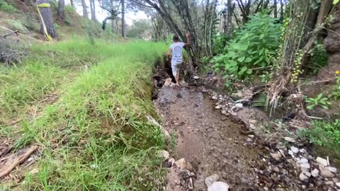 More on the Mayan ruins and San Cristóbal de las Casas