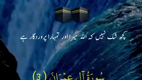 Beshak 💯♥️✨🕊️