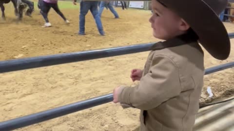 When a 2 Year Old Is the Bulls Biggest Fan