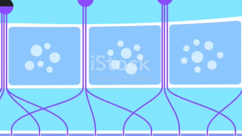 Perfume Isn’t Taste—It’s Memory