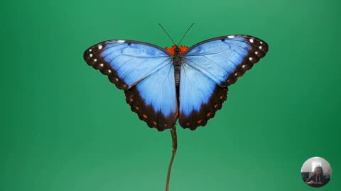 It is safe for me to heal and to let go of anger, hate, and resentment. 174 Hz