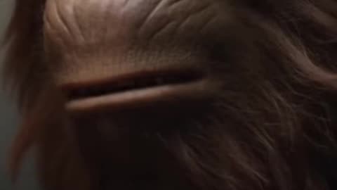 Misinfo Minute Bigfoot 87B?