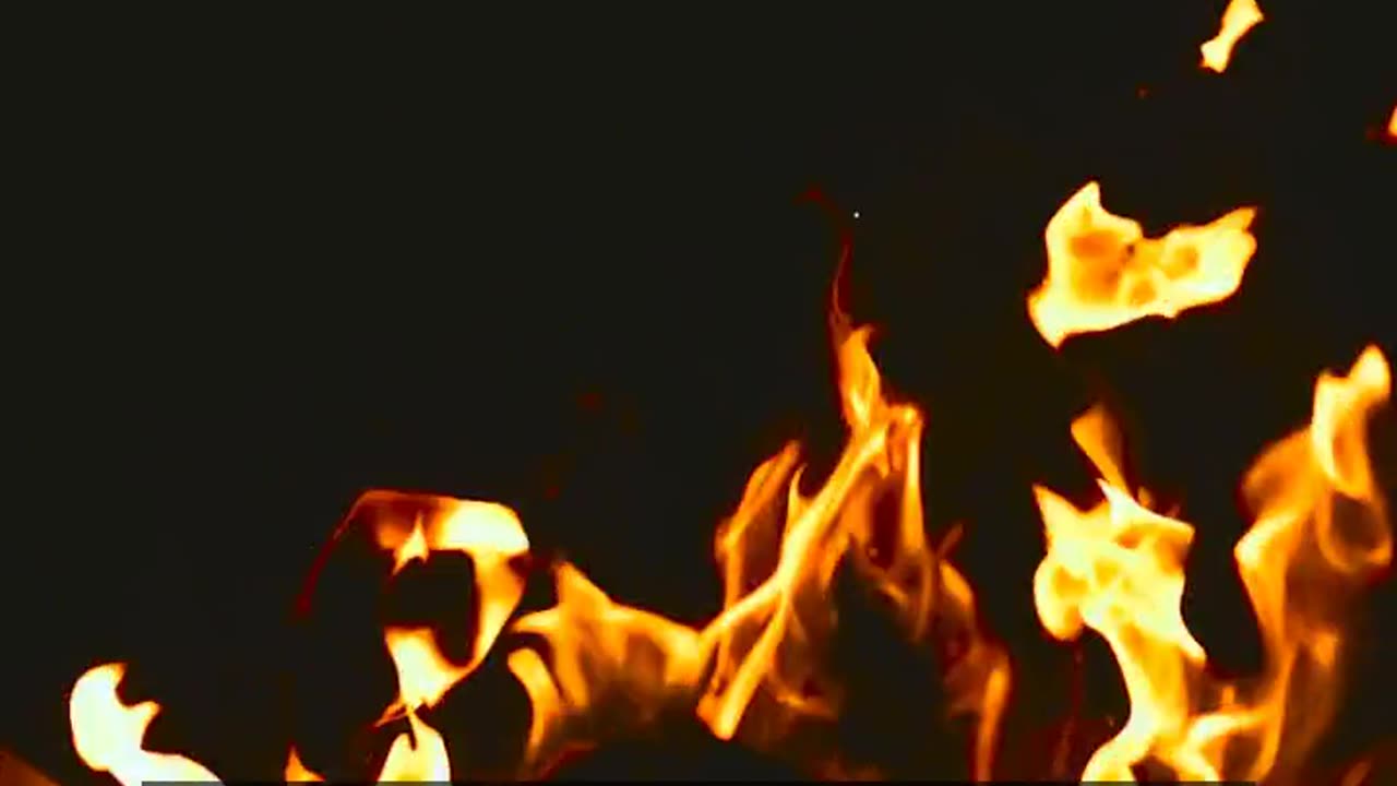 Daily Horoscope | Aries 🌟