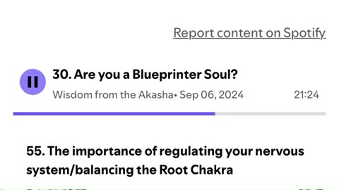 "Blueprint Deliverers" Wisdom From The Akasha excerpt