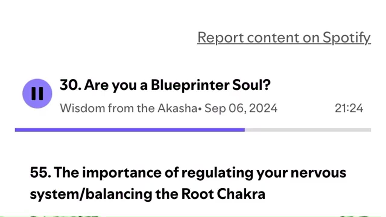"Blueprint Deliverers" Wisdom From The Akasha excerpt
