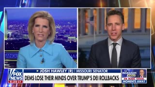 Sen. Josh Hawley: Elites use DEI to stay in power