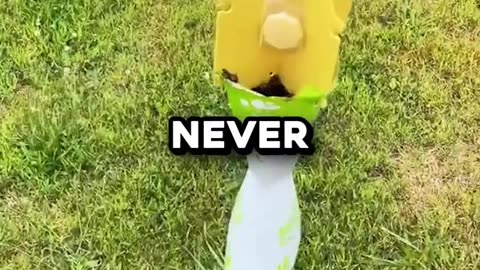 He Found An Infinite Food Glitch IRL 🤯 (@grassyforkacres)