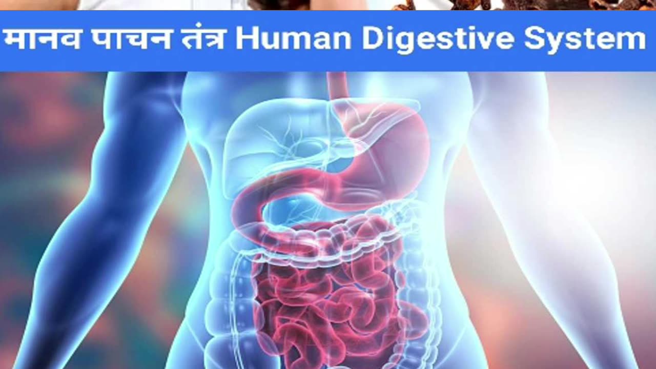 लौंग चबा कर खाने के फ़ायदे || benefits of chewing cloves #healthyfood #fitness #cloves #laung