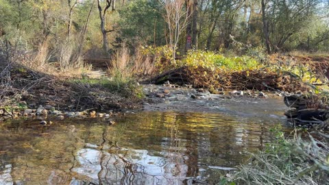 Little creek flowing water 2