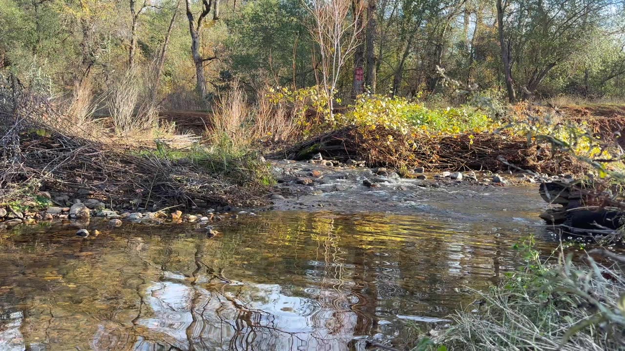 Little creek flowing water 2