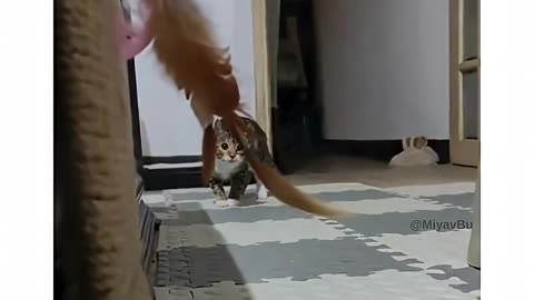 Bu Oyuncu Kediye Dikkat!⚡😼- MiyavBu - ClickHive