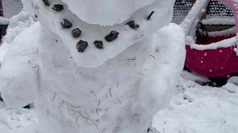 Dinosaur Snowman