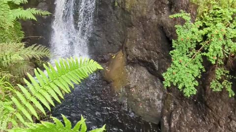 Glenariff waterfalls