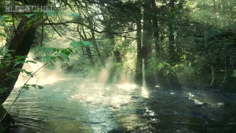 The lake of Reumis pt1 || mp3-relaxing,chill&waasmusic