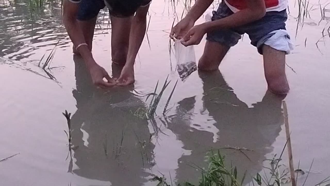 Fishing by fishing net