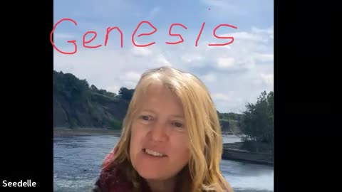 Genesis 15 God’s Covenant, Promise of an Heir, descendants as numerous as stars